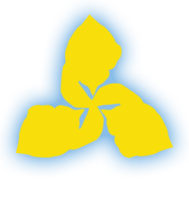 R-Chick